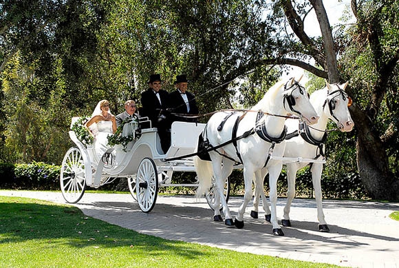 4 Tips For Choosing Your Wedding Day Transportation | No-Nonsense ...